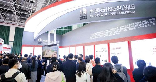 2024中國(guó)油氣開發(fā)技術(shù)年會(huì) 聚焦提質(zhì)增效，共繪能源新藍(lán)圖